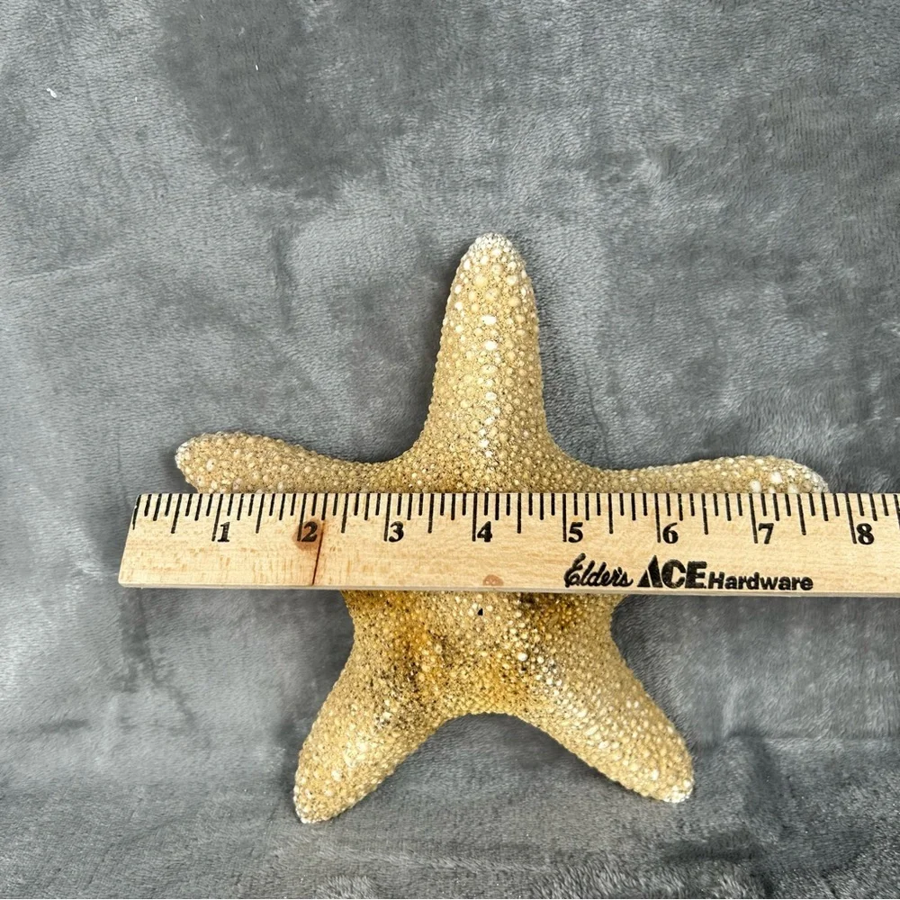 Natural Dried Starfish Decor Coastal Beach Home Accent Large 8” Patrick Nautical